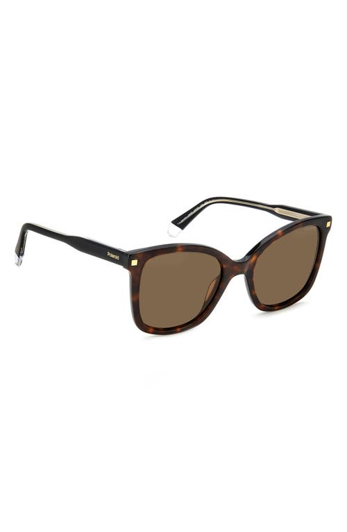 Shop Polaroid 53mm Polarized Square Sunglasses In Havana/bronze Polar