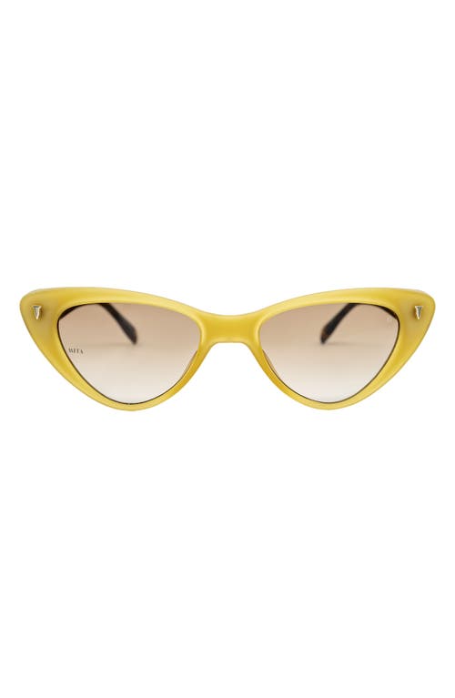 54mm Cat Eye Sunglasses in Matte Milky Yellow/Matte Demi