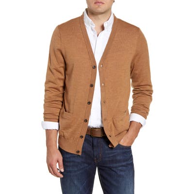 Nordstrom Shop Merino V-Neck Cardigan, Brown