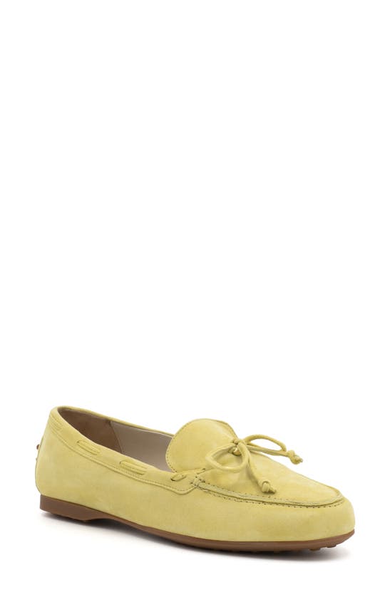 Shop Amalfi By Rangoni Dubblino Driving Loafer In Lime Light Cashmere