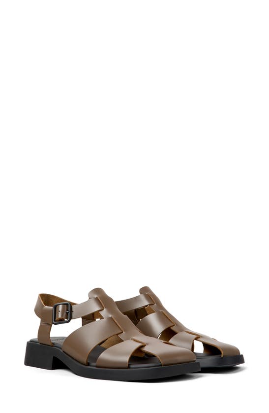 Camper Dana Fisherman Sandal In Medium Brown