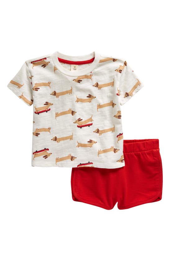 Shop Tucker + Tate Print Cotton T-shirt & Shorts Set In White Snow Wiener Dogs