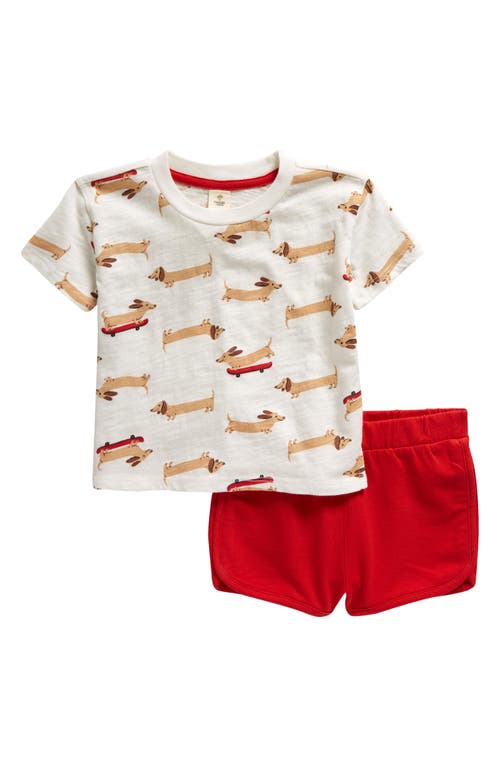 Tucker + Tate Print Cotton T-Shirt & Shorts Set in White Snow Wiener Dogs