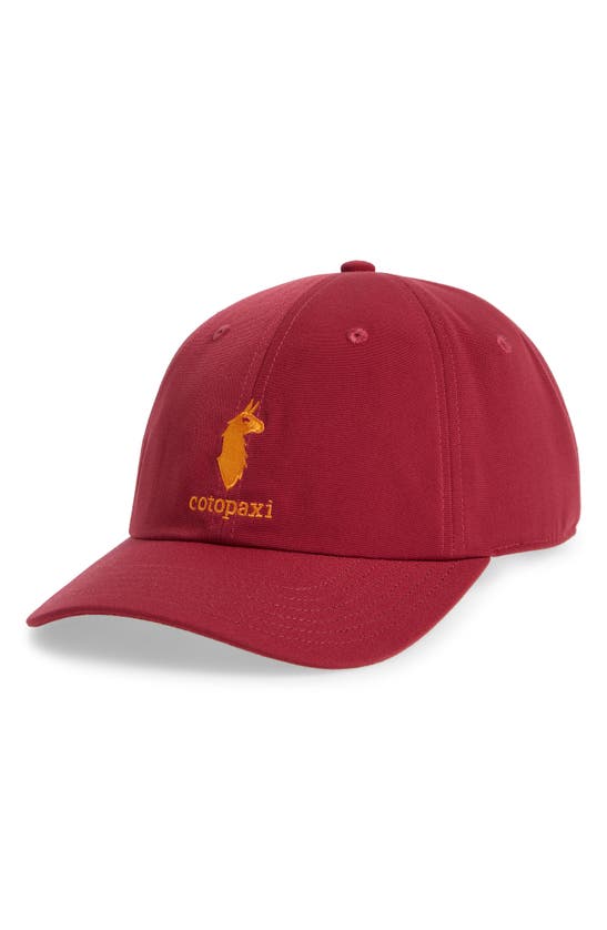 Shop Cotopaxi Embroidered Dad Hat In Raspberry