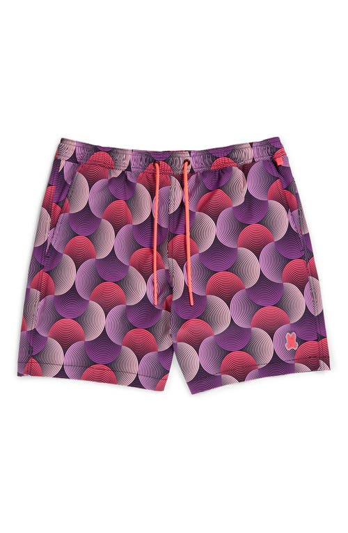 Shop Psycho Bunny Stafford Print Swim Trunks In Purple Multicolored