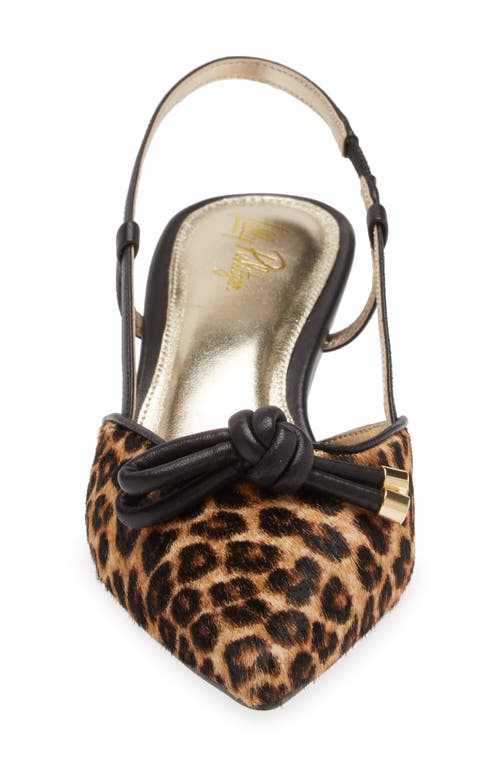 Shop Lilly Pulitzer ® Palma Genuine Calf Hair Slingback Pointed Toe Kitten Heel Pump In Multi Leopard Haircalf