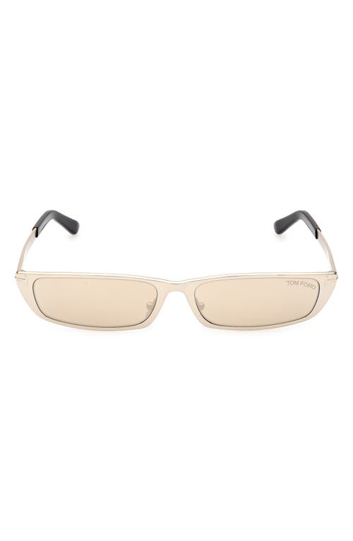 TOM FORD Everett 59mm Square Sunglasses in Shiny Pale Gold /Brown Ivory at Nordstrom