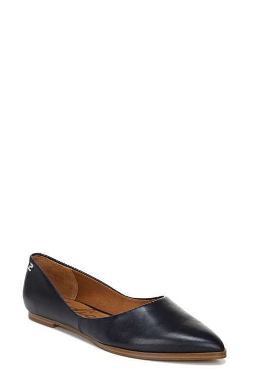 Zodiac Hill Pointy Toe Flat Navy Leather at Nordstrom,