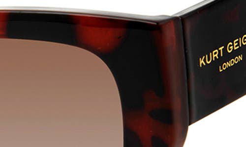 Shop Kurt Geiger London 55mm Cat Eye Sunglasses In Havana/soft Gold Flash