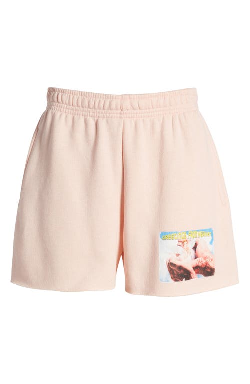 Shop Boys Lie Greetings Francis Graphic Cotton Blend Sweat Shorts In Pink