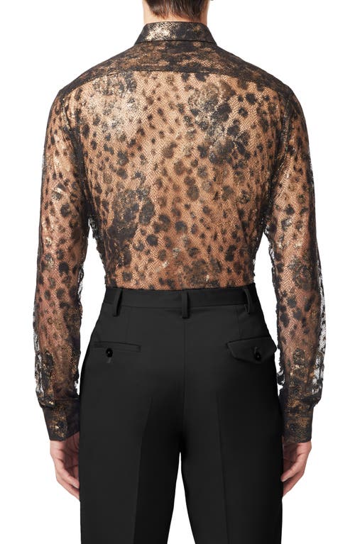 Shop Twisted Tailor Bettles Lace Button-up Shirt In Black Copper