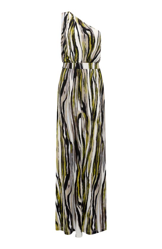 Shop Diane Von Furstenberg Kiera Zebra Stripe One-shoulder Maxi Dress In Zebra Mist