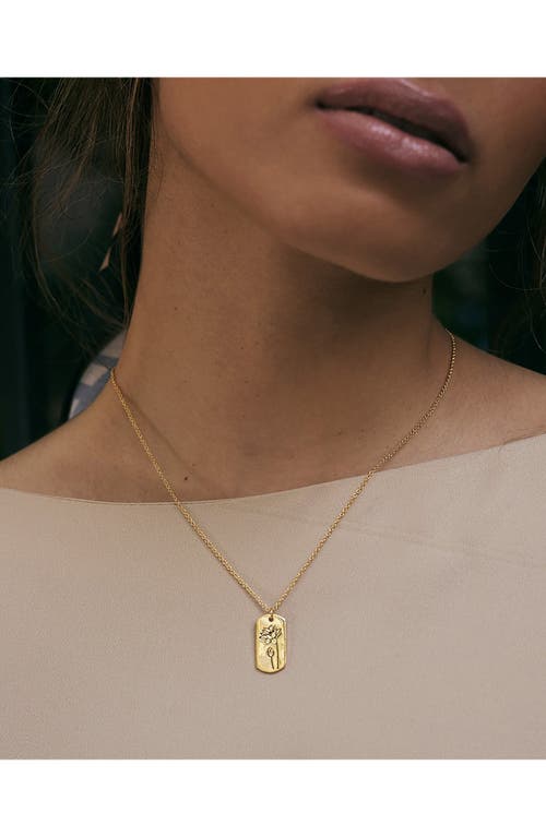 Sterling Forever Birth Flower Pendant Necklace In Gold/january