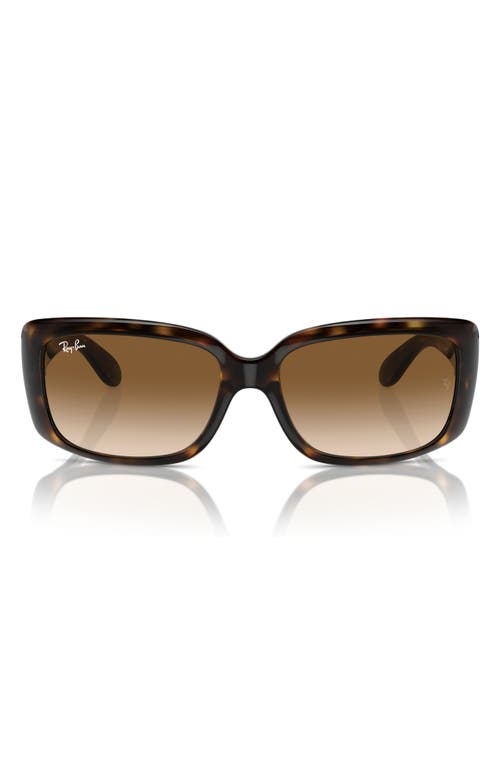 Ray-Ban 55mm Polarized Pillow Sunglasses in Dark Havana at Nordstrom