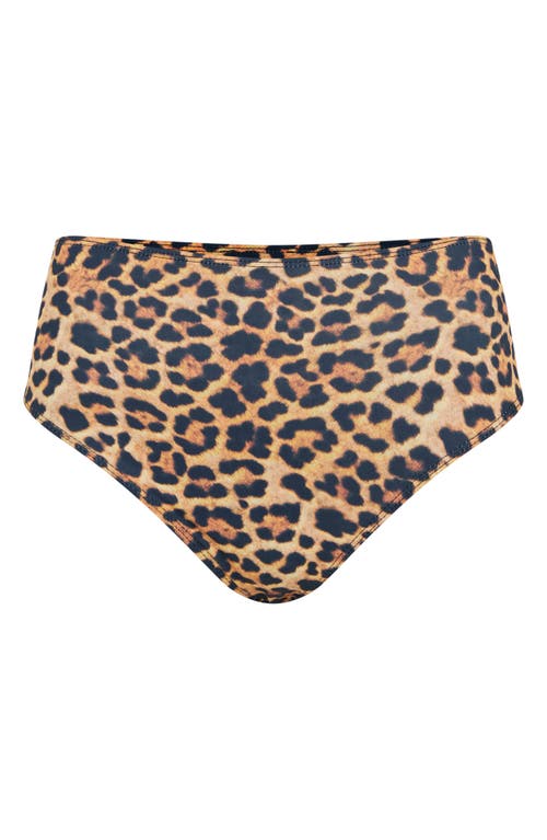 Shop Nasty Gal Knicker Shorts In Leopard