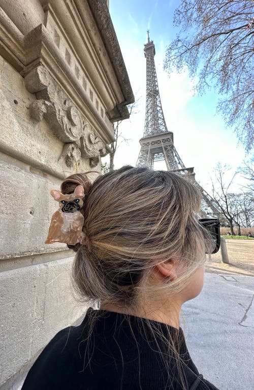 Solar Eclipse Frenchie Claw Hair Clip In Brown