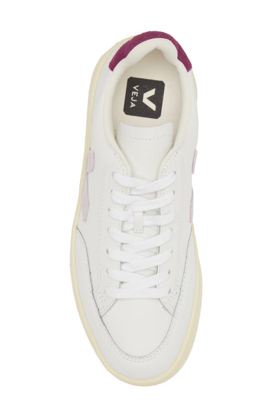 Shop Veja Gender Inclusive V-12 Sneaker In Extra-white Parme Magenta