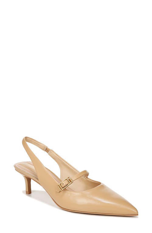 Franco Sarto Khloe Pointed Toe Kitten Heel Pump at Nordstrom,