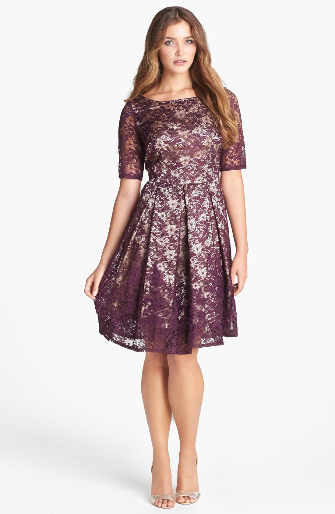 Taylor Dresses Lace Fit & Flare Dress Nordstrom