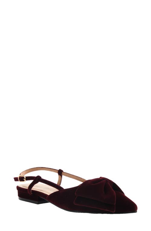 Chinese Laundry Harmony Slingback Pointed Toe Flat in Burgundy 