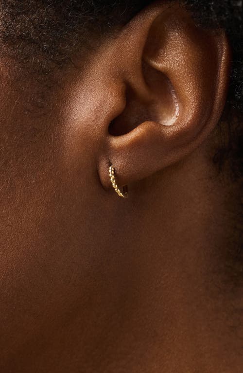 Ana Luisa 10k Gold Bead Huggie Hoops In Gold