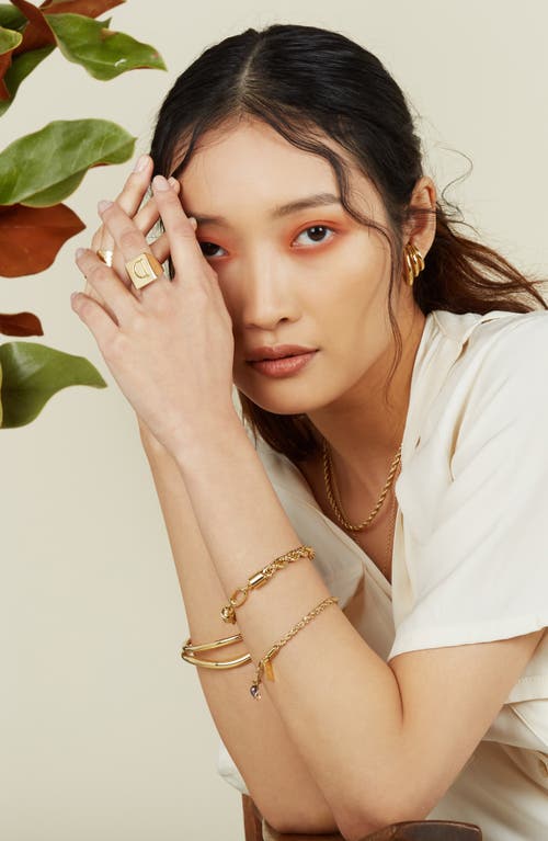 Lady Grey Xl Rope Chain Bracelet In Gold