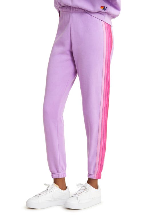 Aviator Nation Stripe Sweatpants In Neon Purple/pink