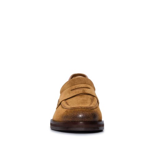 Shop Bernardo Footwear Tabitha Penny Loafer In Safari