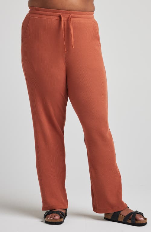 Shop Losano Drawstring Pant In Baked Clay