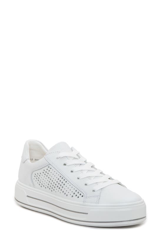 Shop Ara Carol Perforated Sneaker In White