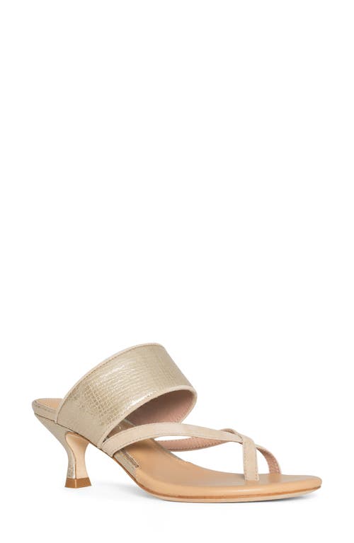 Donald Pliner Louka Sandal In Sand/plati