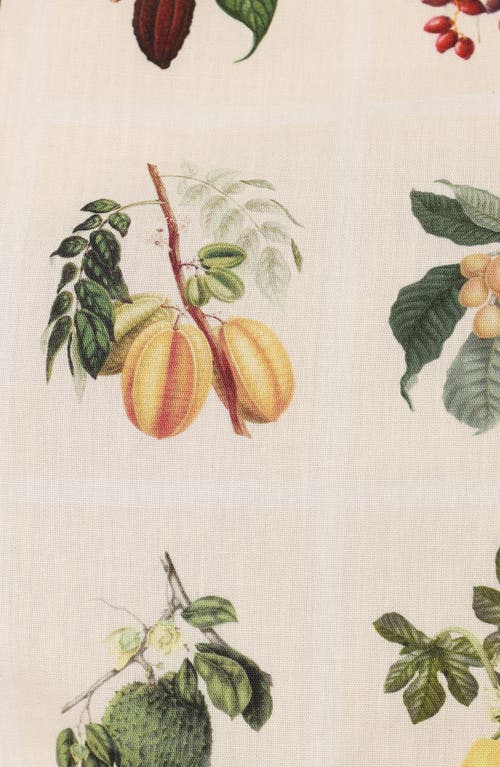 Petal And Pup Petal & Pup Botanique Cotton Drawstring Shorts In Neutral