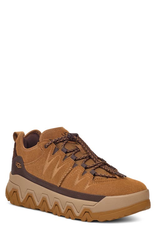 Shop Ugg(r) Captrail Low Waterproof Sneaker In Chestnut