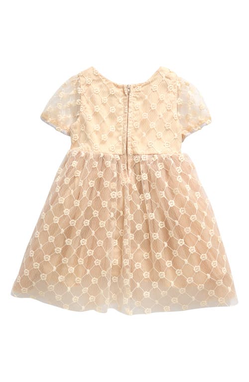 Popatu Kids' Embroidered Tulle Dress In Ivory