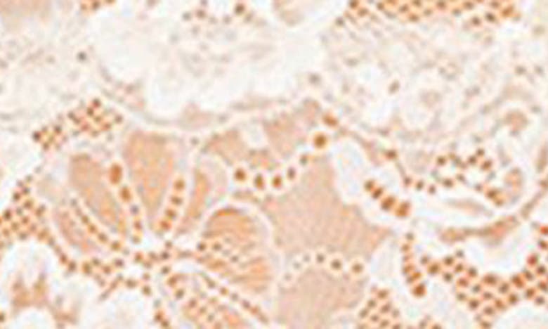 Edikted Cara Sheer Lace Tie Back Camisole In Cream