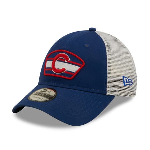 Chicago Cubs 2016 WORLD SERIES CHAMPS PATCH SNAPBACK Grey-Royal H