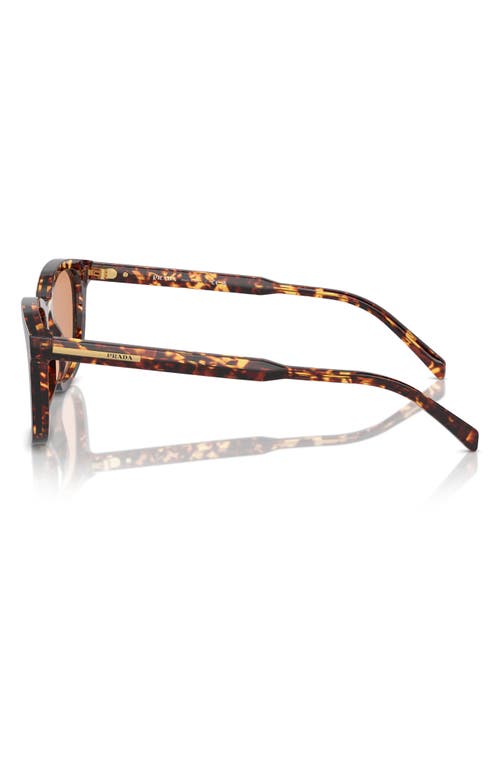 Shop Prada 53mm Pillow Sunglasses In Havana/orange