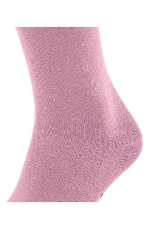 Shop Falke Airport Knee High Socks In Light Rosa