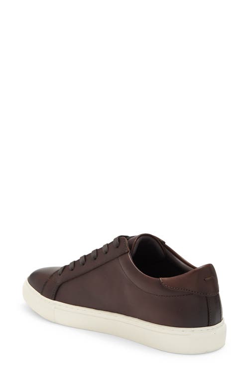 Shop Vittorio Russo Adan Low Top Sneaker In Chestnut