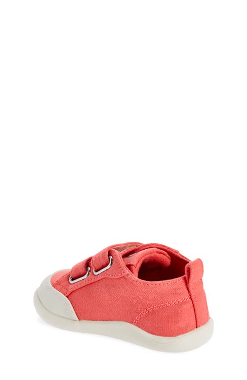 Shop Old Soles Kids' Salty Sneaker In Watermelon/sporco