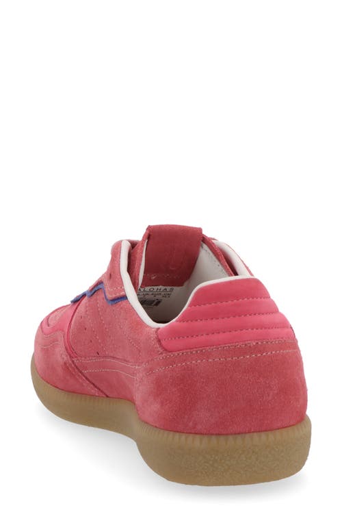 Shop Alohas Rife Sneaker In Pink