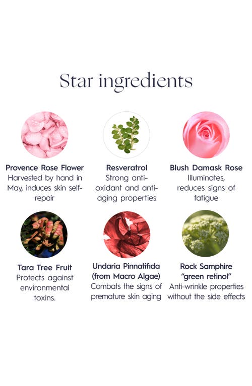 Verdilab Lift & Glow Rose Serum In No Color