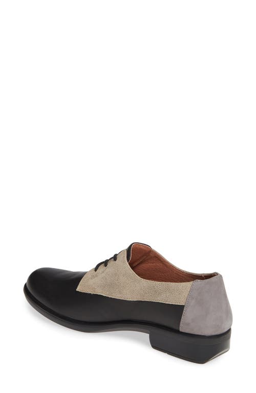 Shop Naot Kedma Colorblock Derby In Black/beige/smoke Leather