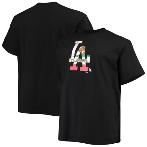 Worcester Red Sox T-Shirt Short sleeve heavyweight t shirts