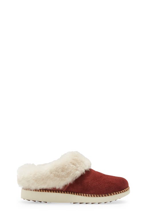 Olukai Genuine Shearling Slipper In Canoe/tan