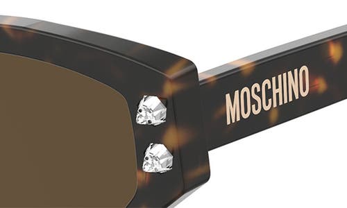 Shop Moschino 55mm Cat Eye Sunglasses In Havana/brown