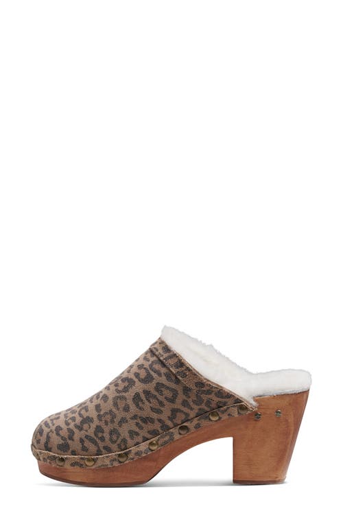 Beek Woodpecker Genuine Shearling Clog In Leopard