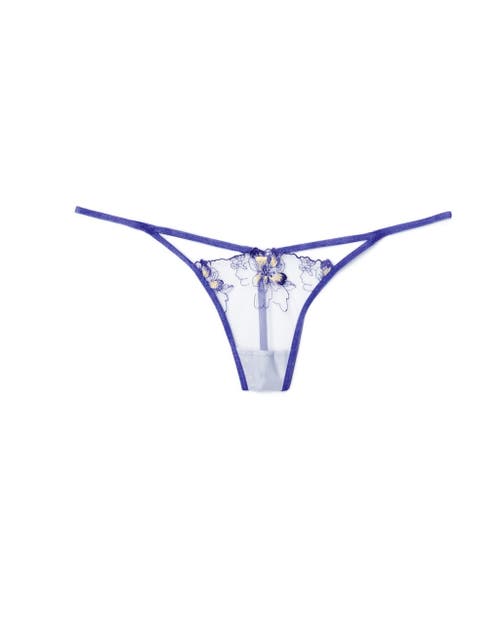 Adore Me Farah G-string Panties In Light Blue
