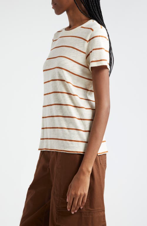 Atm Anthony Thomas Melillo Slub Jersey Stripe Schoolboy Short Sleeve Crew Neck Tee In Irish Cream-cornelian Stone