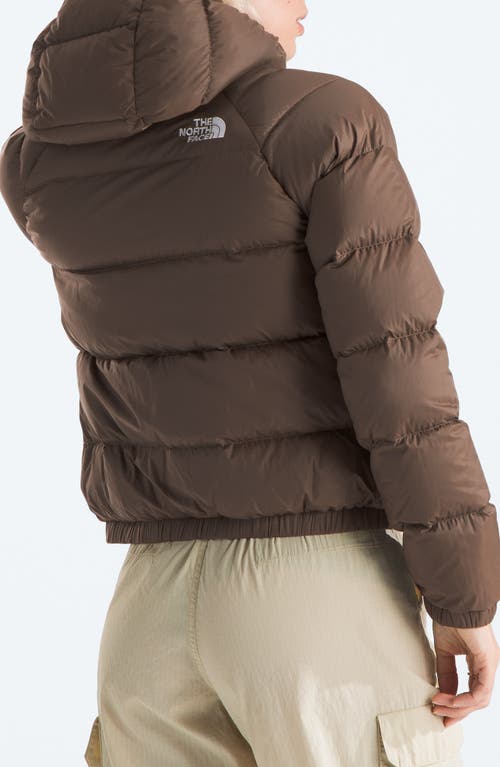 Shop The North Face Hydrenalite Hooded Down Jacket In Smokey Brown